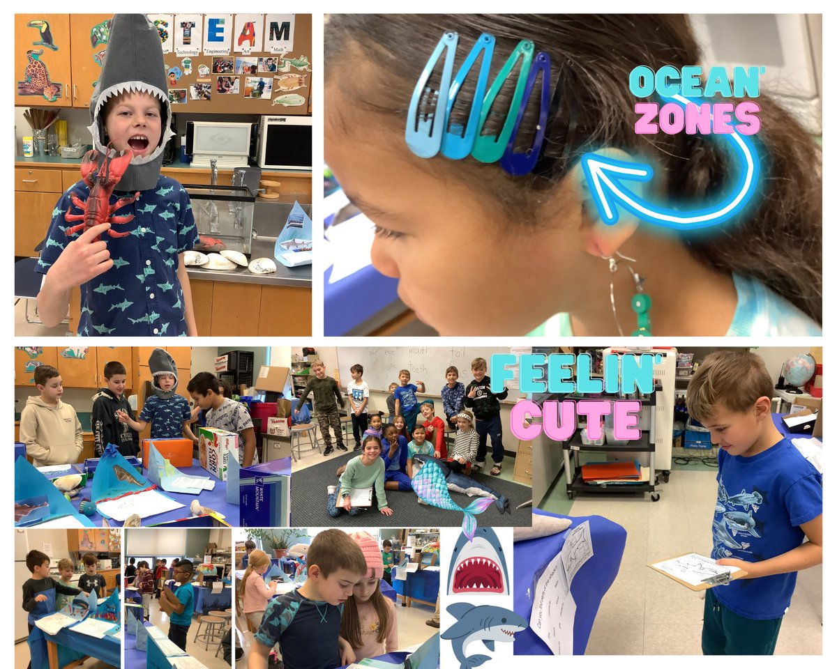 Ms Nikki tweet media