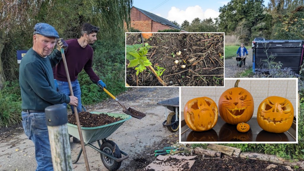 PlantingUp's tweet image. Tidying the garden for winter &amp;amp; an afternoon of pumpkin carving dlvr.it/T1sQWC