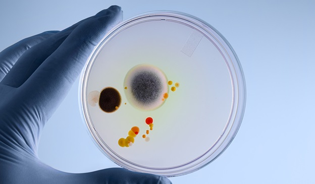 Imperial NHS 💙 tweet media