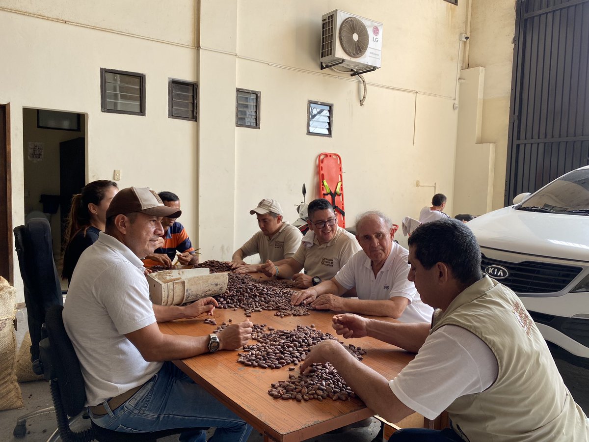 En San Vicente de Chucuri, con técnicos Fedecacao analizando granos de cacao en esta época de verano intenso .Oportunidad de Asesor de @consejocacao para motivar la promoción de la ADOPCIÓN de la tecnología y aprovechar muy buenos precios con reales incrementos en productividad