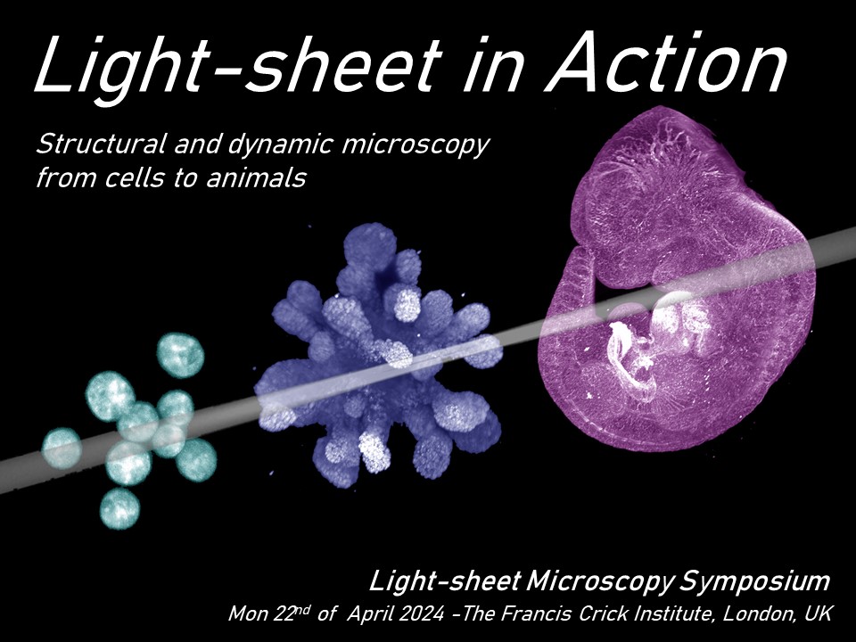 ⚡️Light-sheet in Action⚡️ 1-day symposium covering: ➡️Clearing ➡️Mesoscale ➡️Cellular dynamics All Microscopists, Biologists and Light-sheet Curious are welcome! 📅Monday 22 April 2024 ⏲️10:00 - 18:30 📍The Francis Crick Institute, London, UK. crick.ac.uk/whats-on/light…