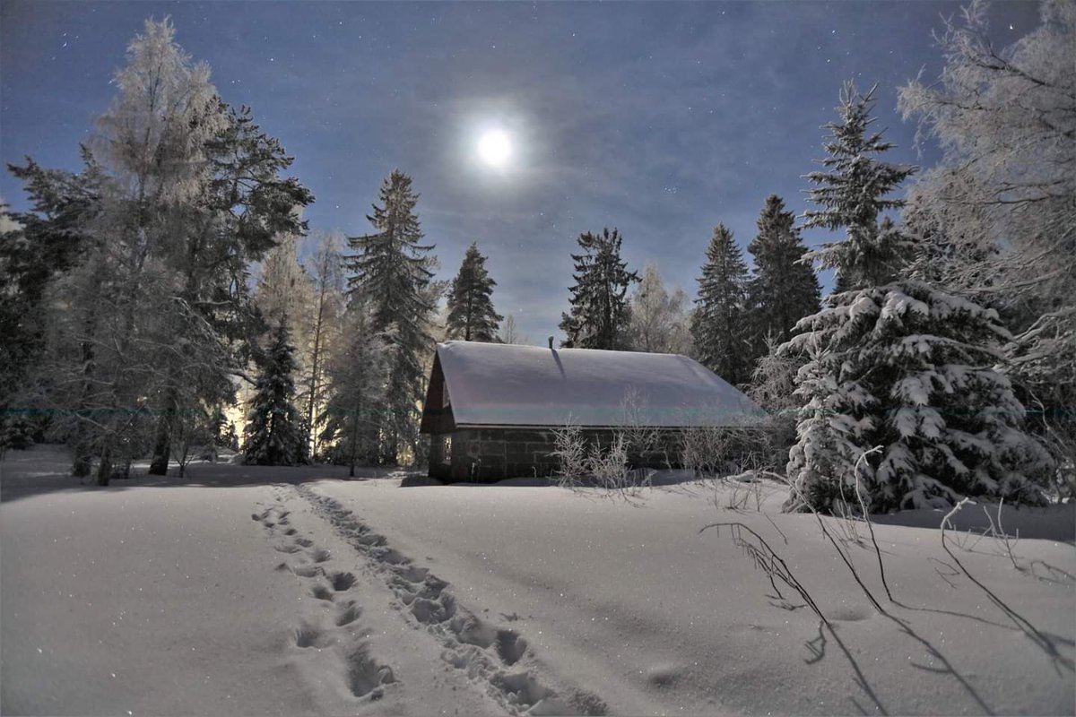 PHatunen's tweet image. Hieno kuutamo..5.2.2020.
#moonlight #Finland #winternight #Vaala