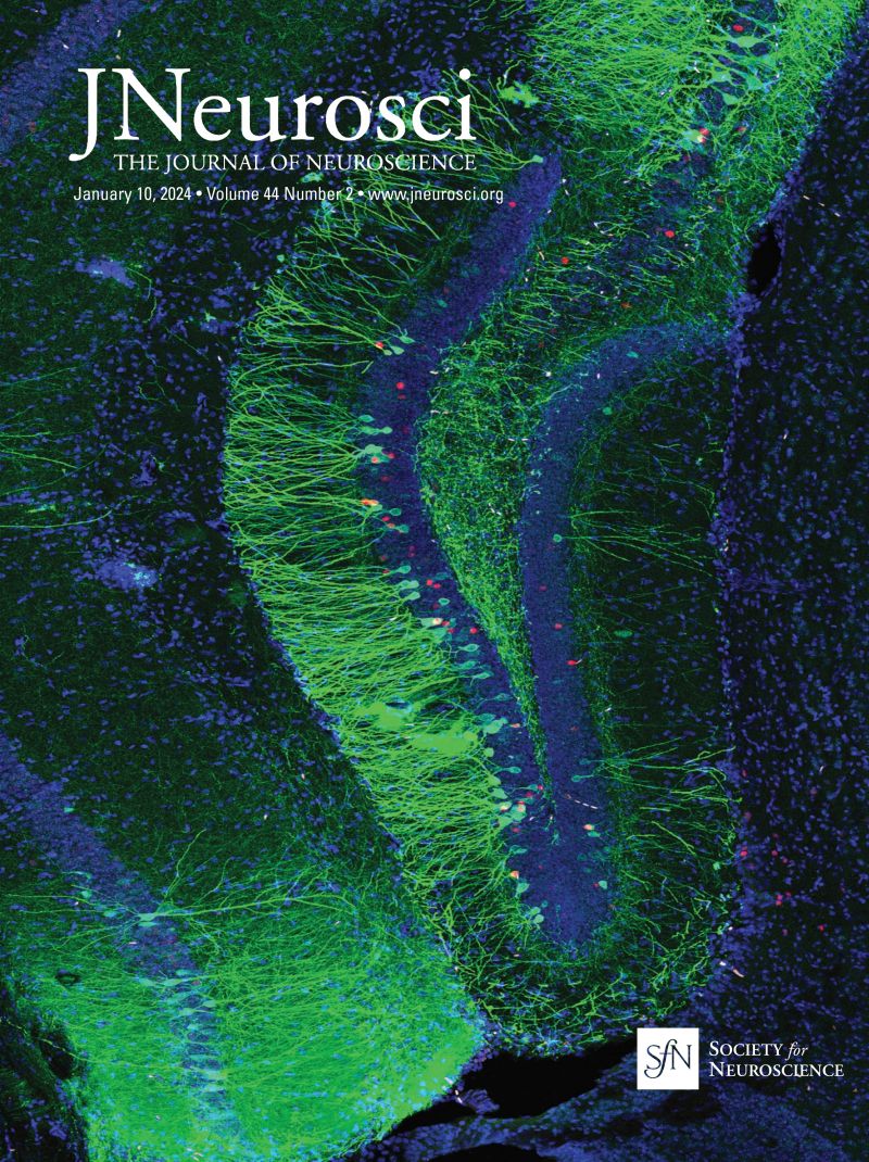 The recent Journal of Neuroscience not only features a new study from CSN researcher @okaysteve Ramirez inside, but also a beautiful neuroimage from the study gracing the cover (courtesy of Steve Ramirez and lead study author @KaitlynDorst). READ>>jneurosci.org/content/44/2/e…