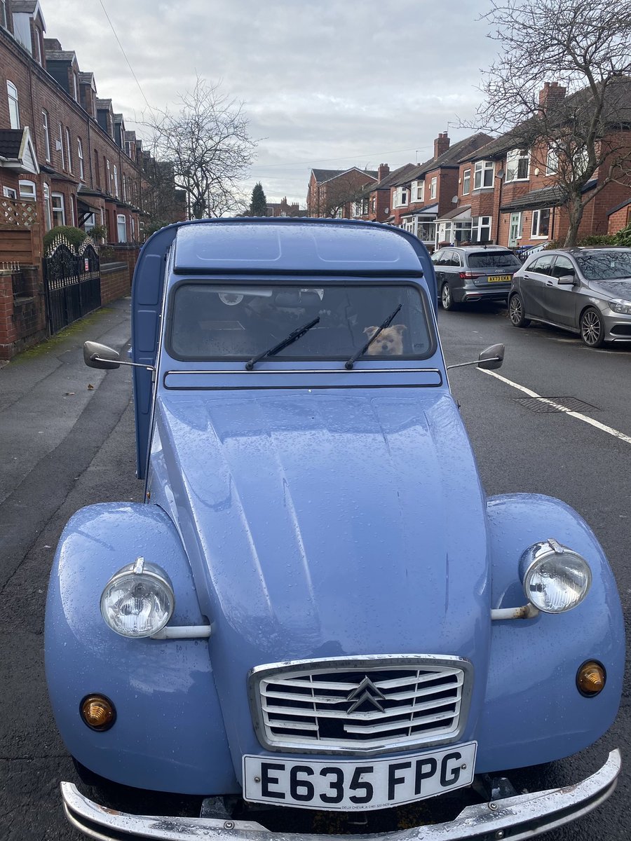 #bluedoordog Maxim riding shotgun with me on today’s delivery run. Always here to help out… #bluedoordogs #welovedogs #giftsfordogs #yorkshireterrier #yorkies #2cv #2cvvillevan #vintagedeliveryvan #vintagevan