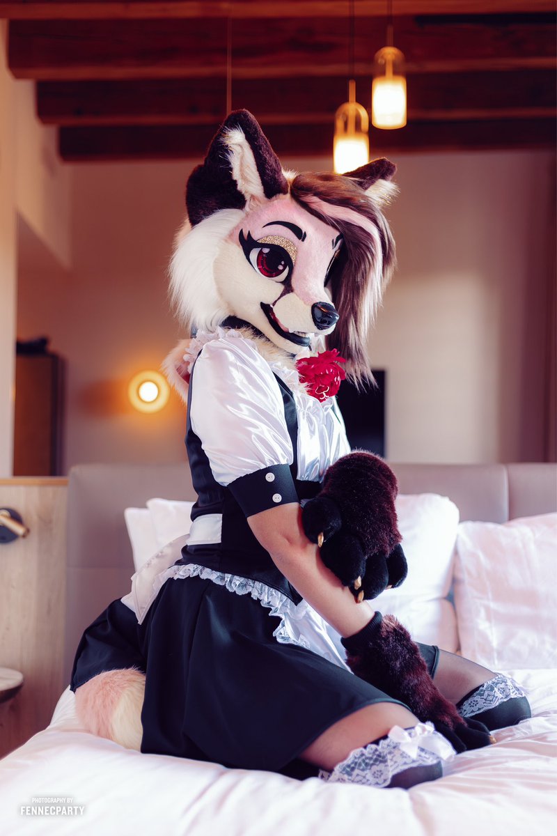 FuzzyVixen's tweet photo. Sassy is the new Classy. 🌸🐾 https://t.co/eW9XsOKG9G