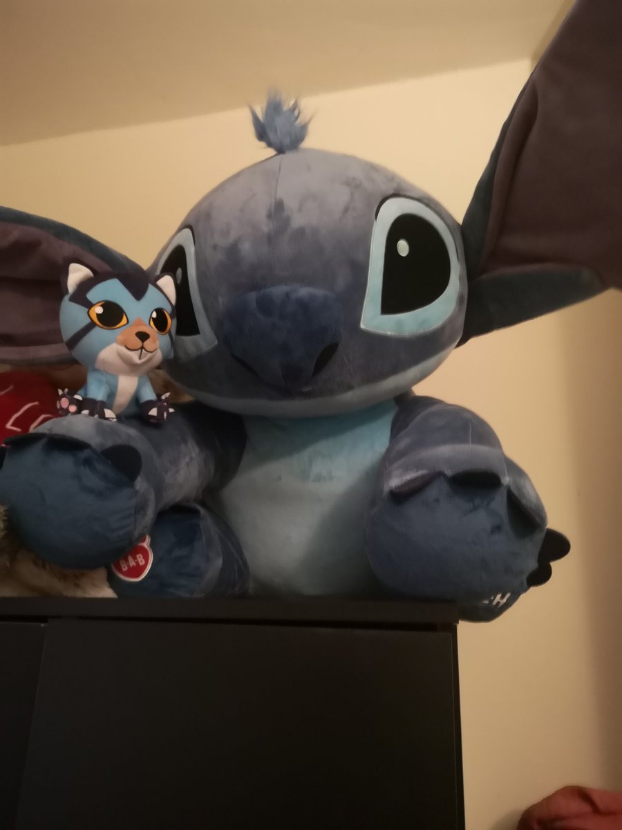 HarleenWerewolf's tweet photo. @SyntacYT @rex_werewolf I will try! it was ment to be a valentine present but I was allowed it early, Myst now lives with my giant stitch plushie!! https://t.co/RXJpcJLcWZ