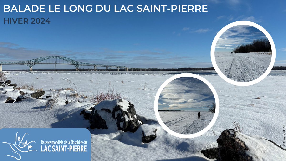 📷Le lac Saint-Pierre enneigé sous un beau soleil, le temps idéal pour une #balade en pleine #nature sur le territoire de la #RMBLSP @BiosphereCanada #reservedebiosphere @CCUNESCO @UNESCO_MAB