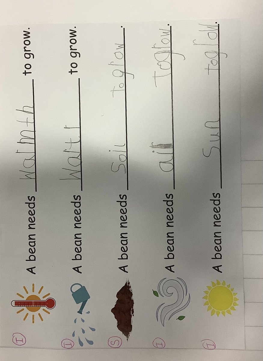 Jess Hoskins (@jhoskinsstannes) on Twitter photo Over the last few days we have been writing sentences about what plants need to grow, drawing the life cycle of a bean and doing some observational drawings and paintings of flowers. When writing we used our phonics knowledge to help us ๐๐ฑ๐ป <a href="/StAnnes_EHS/">Emma Hardy Smith @ St.Anneโs</a> Over the last few days we have been writing sentences about what plants need to grow, drawing the life cycle of a bean and doing some observational drawings and paintings of flowers. When writing we used our phonics knowledge to help us ๐๐ฑ๐ป <a href="/StAnnes_EHS/">Emma Hardy Smith @ St.Anneโs</a>