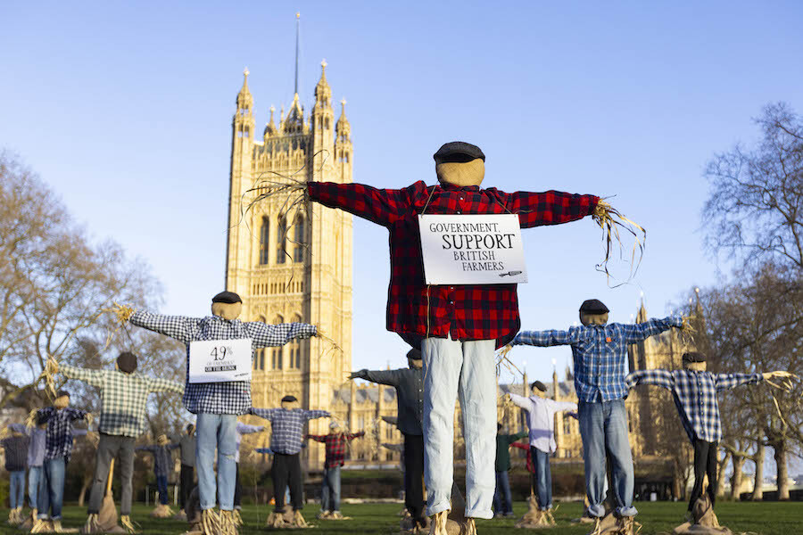 Forty-nine faceless scarecrows were placed outside parliament, representing the anonymity of farmers, and the 49% of fruit and veg farmers who believe they will be out of business in 12 months 🍏🥕

fruitandvine.co.uk/scarecrows-pla…

#GetFairAboutFarming #UKGovernment #UKFarming #fruit
