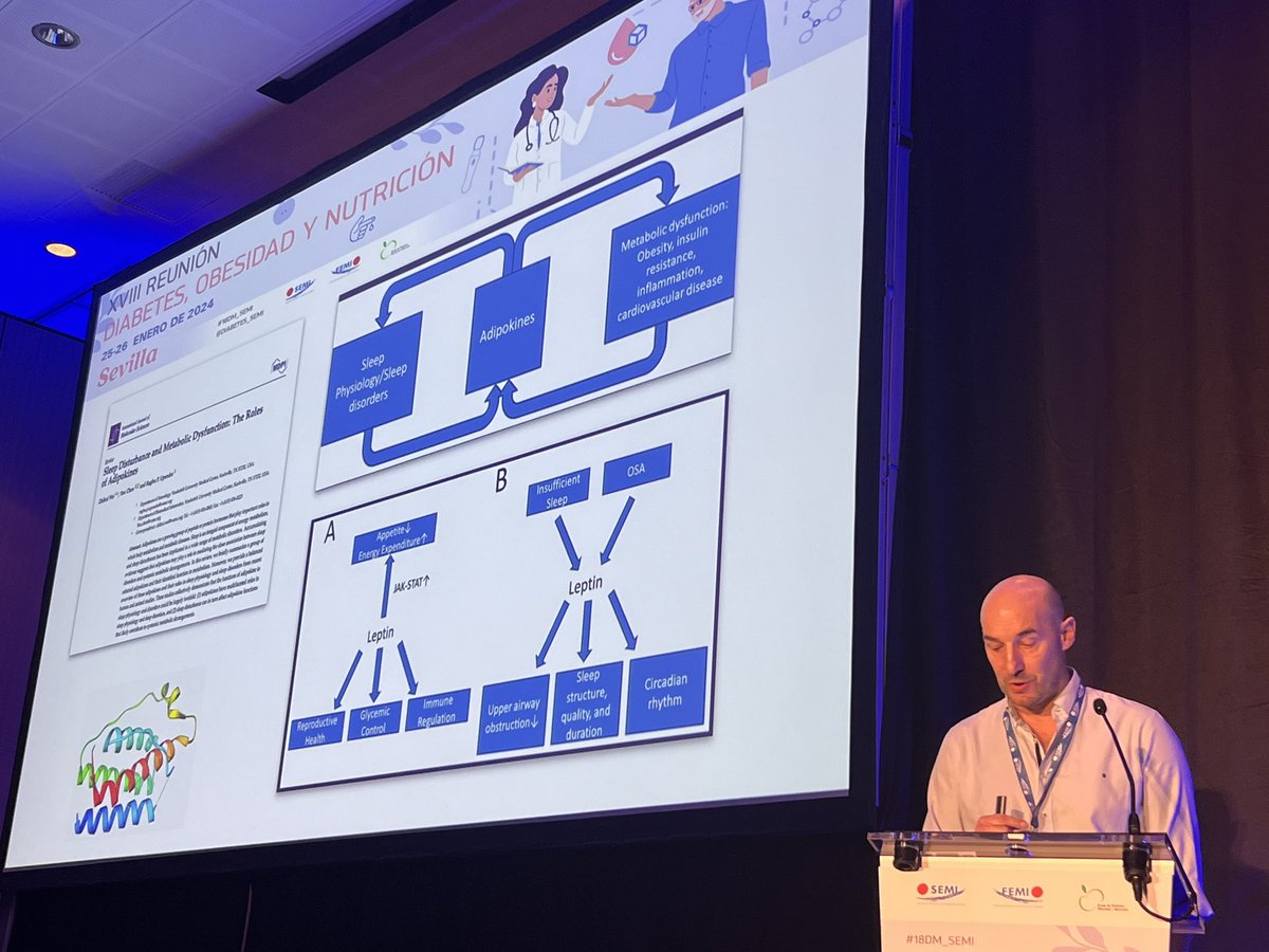 #18DM_SEMI 👉🏻La leptina como uno de los protagonistas de la bidireccionalidad entre: alteraciones del suelo ⬅️➡️ enfermedades metabólicas Explicación de la mano del Dr Juan González Soler