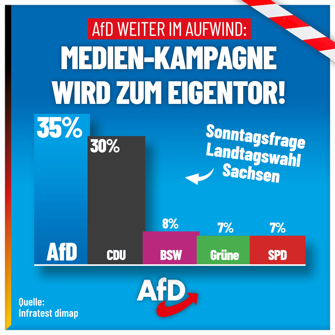 AfD tweet media