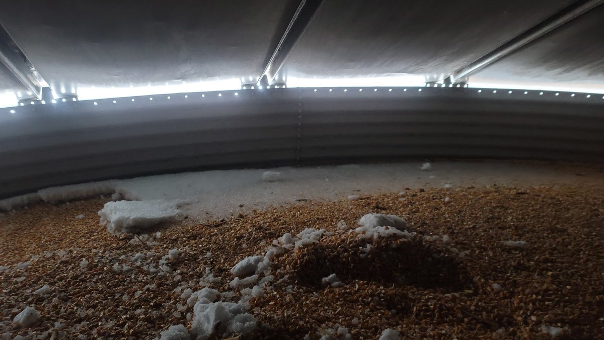 Cornfrmr's tweet photo. PSA

Check your bins for snow. If you don't get it raked around and spread out, it will cause issues when it warms up next week. https://t.co/viP9vqqRtH
