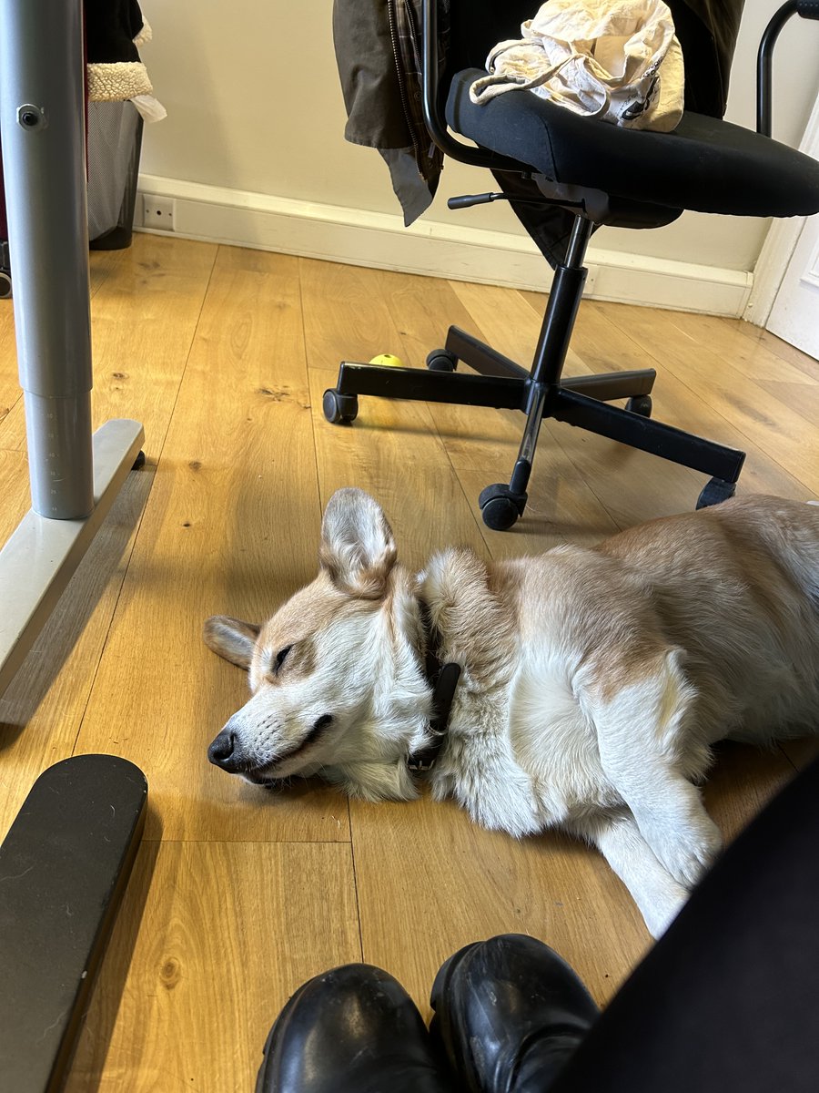 Digital Six® tweet media