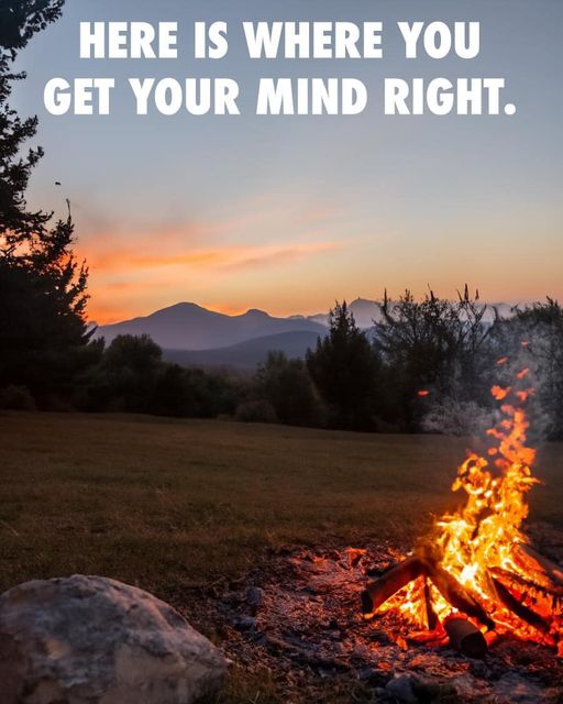 Bryan Johnson tweet media