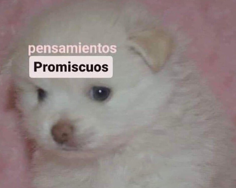 carmeliiru's tweet image. Buenos días 🙌🏼✨#PoderosoProhibido que sea un gran día para todos 🫶🏼