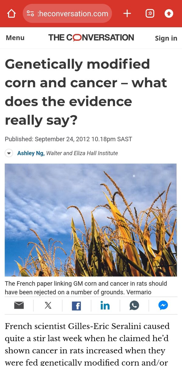 pshegs's tweet photo. Is this the first time Genetically Modified Maize has been introduced specially to a place? Actually no. See: https://t.co/7qg0t6kl7o