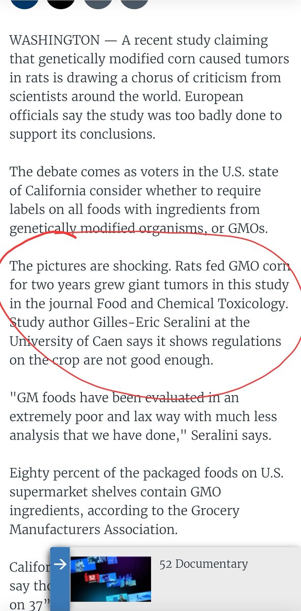 pshegs's tweet photo. Is this the first time Genetically Modified Maize has been introduced specially to a place? Actually no. See: https://t.co/7qg0t6kl7o
