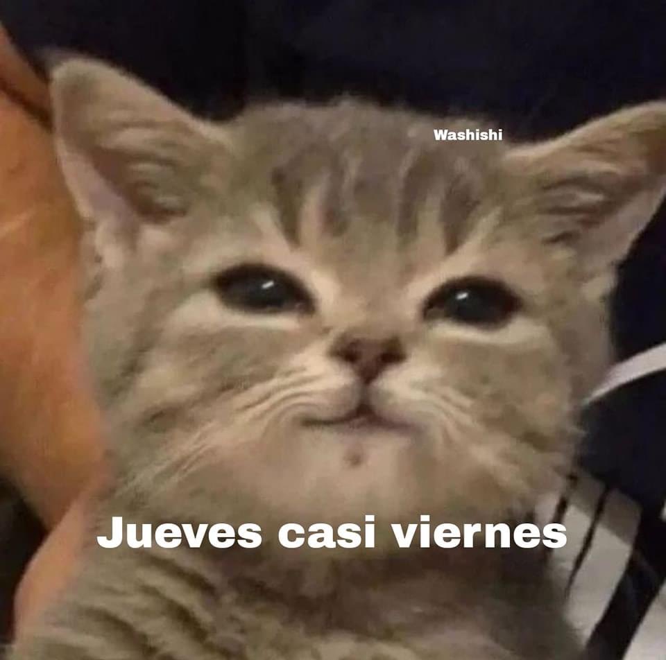 betinbetillo's tweet image. #PoderosoProhibido saludos @ruleiro @eltalcha  y a la convoyisa!  🫶🏽