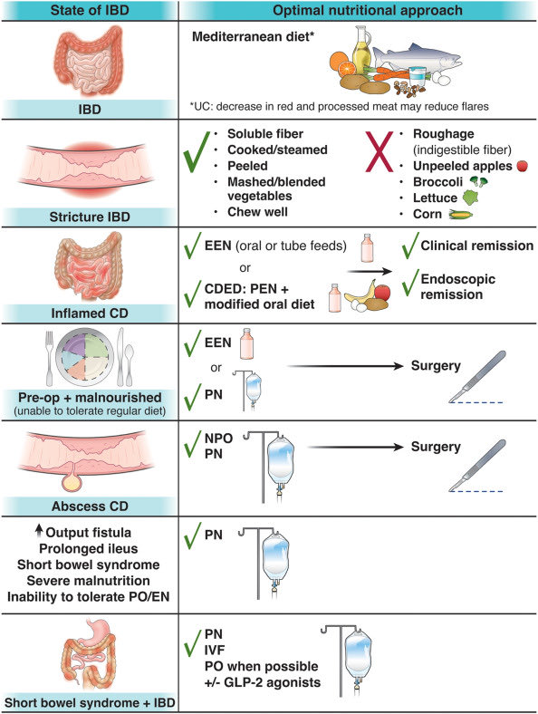 John Damianos, M.D. (@john_damianosmd) on Twitter photo New <a href="/AmerGastroAssn/">American Gastroenterological Association (AGA)</a> guidance on #diet in inflammatory bowel disease
🥇Mediterranean diet
✅EEN & CDED in CD
✅screen for malnutrition and vitamin deficiencies
✅collaborate with RD
✅breastfeeding is protective
#MedTwitter #GITwitter #IBD
gastrojournal.org/article/S0016-… New <a href="/AmerGastroAssn/">American Gastroenterological Association (AGA)</a> guidance on #diet in inflammatory bowel disease
🥇Mediterranean diet
✅EEN & CDED in CD
✅screen for malnutrition and vitamin deficiencies
✅collaborate with RD
✅breastfeeding is protective
#MedTwitter #GITwitter #IBD
gastrojournal.org/article/S0016-…