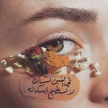 cesur dilen tweet media