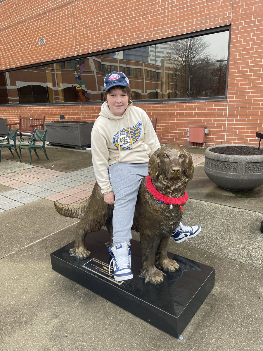 Mike Chase tweet media