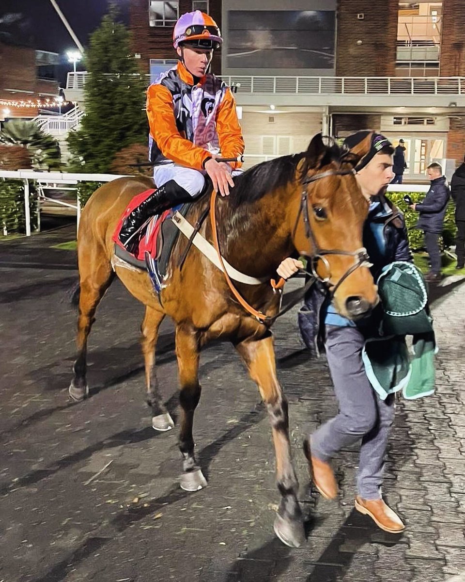 roarprideracing's tweet photo. Glenister entered to run at @kemptonparkrace again next Wednesday. Fancy joint the syndicate? Get to https://t.co/rBSio3baHO while shares are still available #syndicate #goodtimes #flatandjumps https://t.co/4YyG0ha9PR