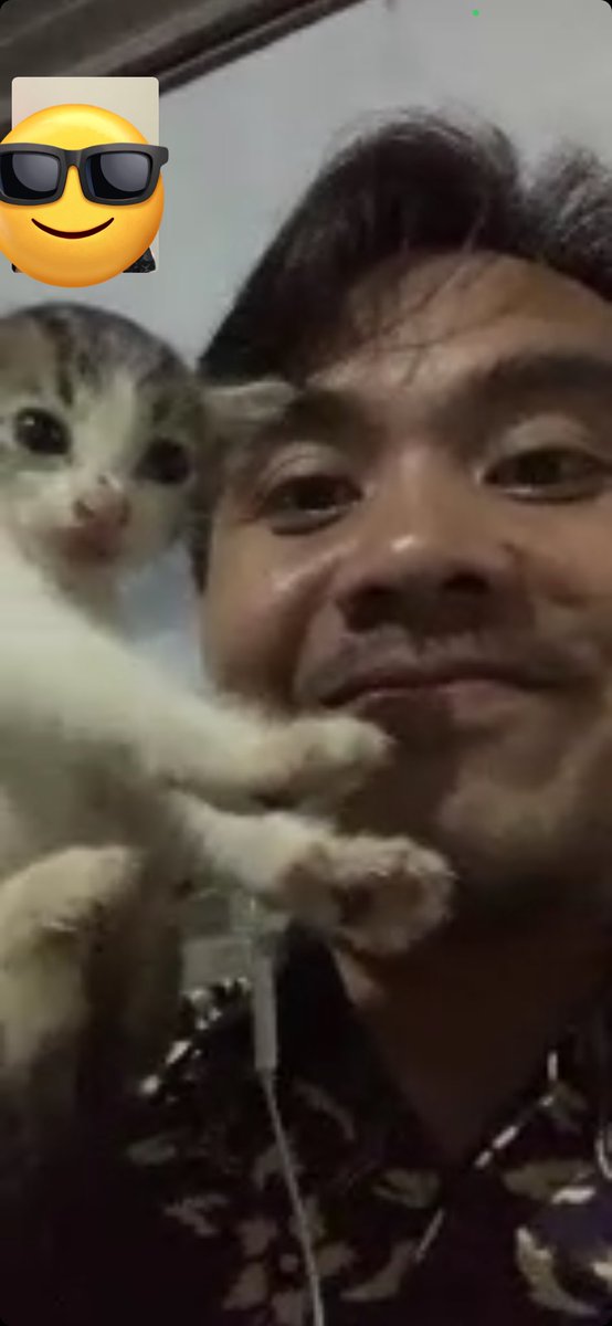 megasebelas's tweet photo. lagi videocall ada anak kucing diambil diajak videocall 🗿🗿🗿 https://t.co/AqhVVBx1GL