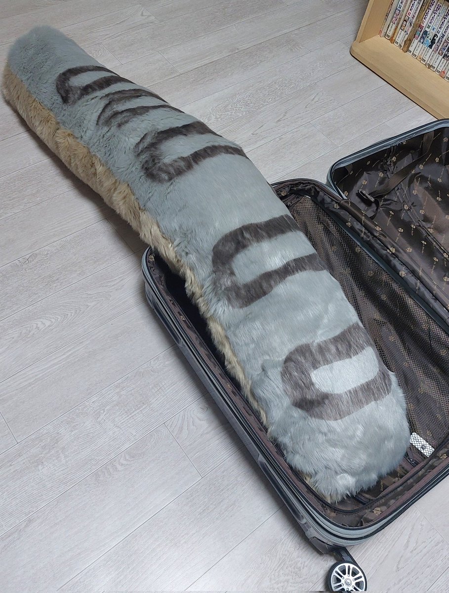 론트 / 서향 tweet media