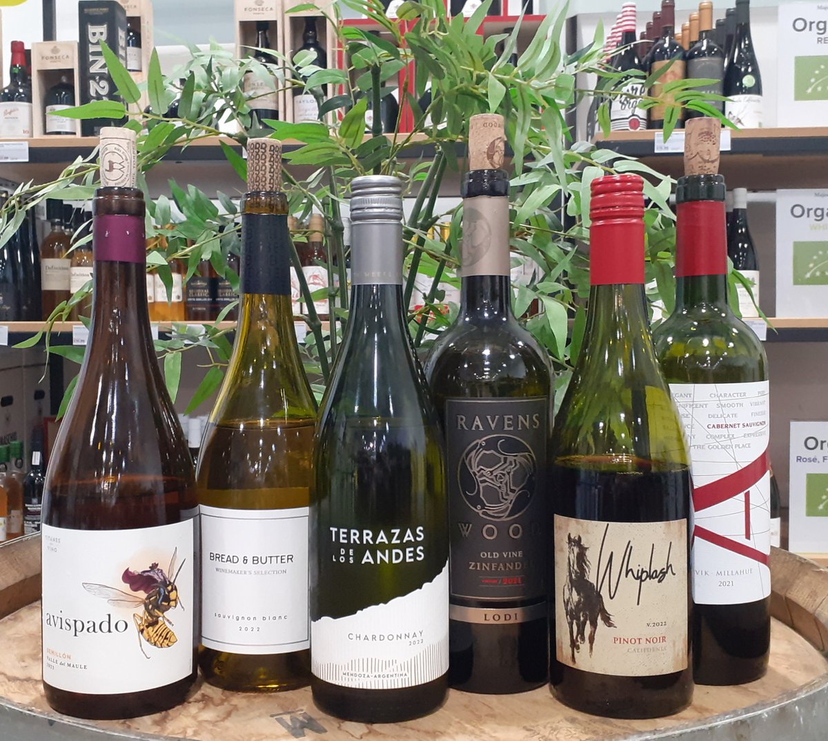 This week's tasting counter wines!

Showcasing our current 'Americas' Tasting Counter Takeover in advance of the impending Americanarama wine tasting in March - pop in for a preview!

#wineoclock #wineoftheweek #americanarama