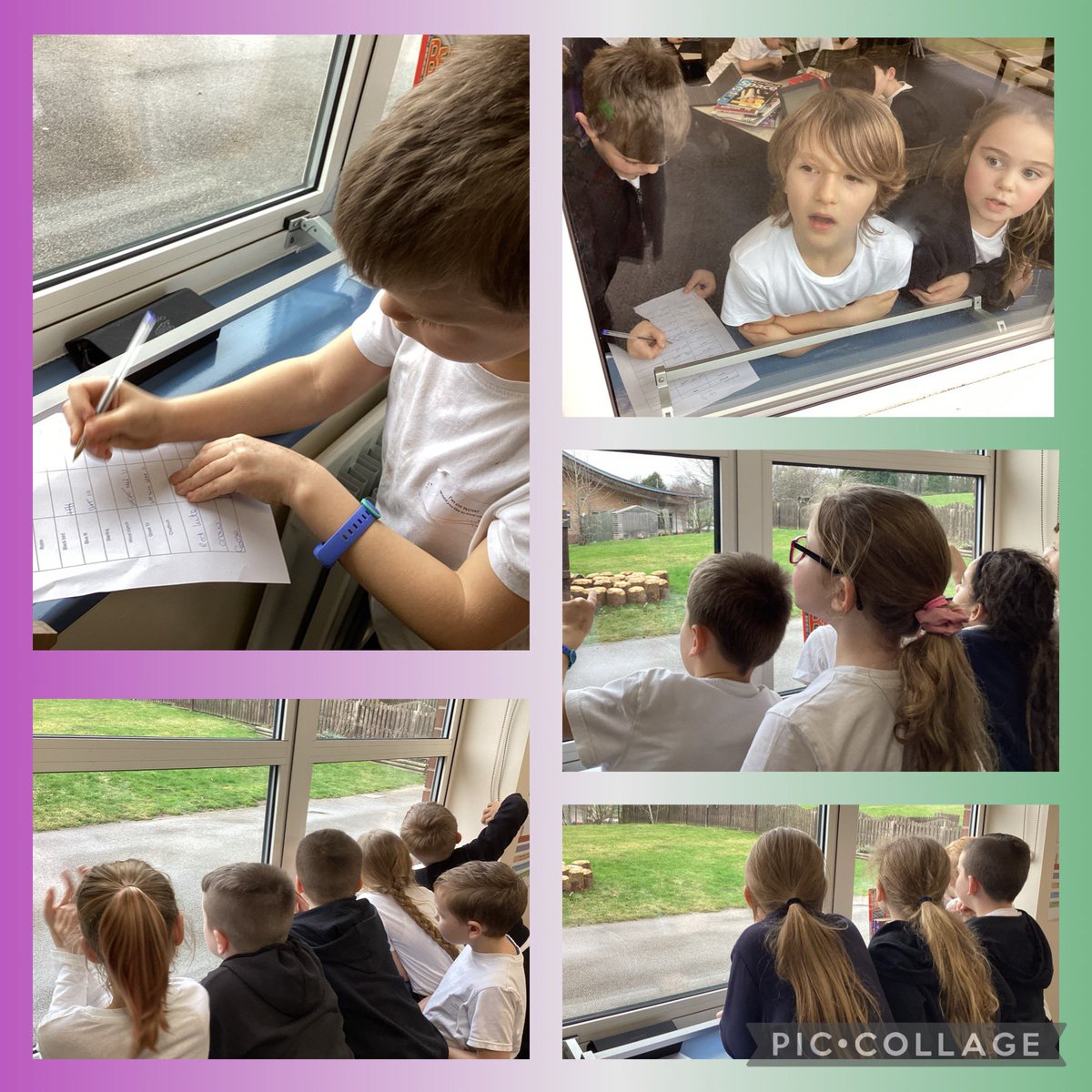 BandBschool's tweet photo. @BandBschool The RSPB schools bird watch took flight in Team Derwent today. They enjoyed identifying the birds they saw and recording the information. @eboractrust @Natures_Voice @RSPBEngland #bandbscience #opportunities https://t.co/sSQNkbeKHf