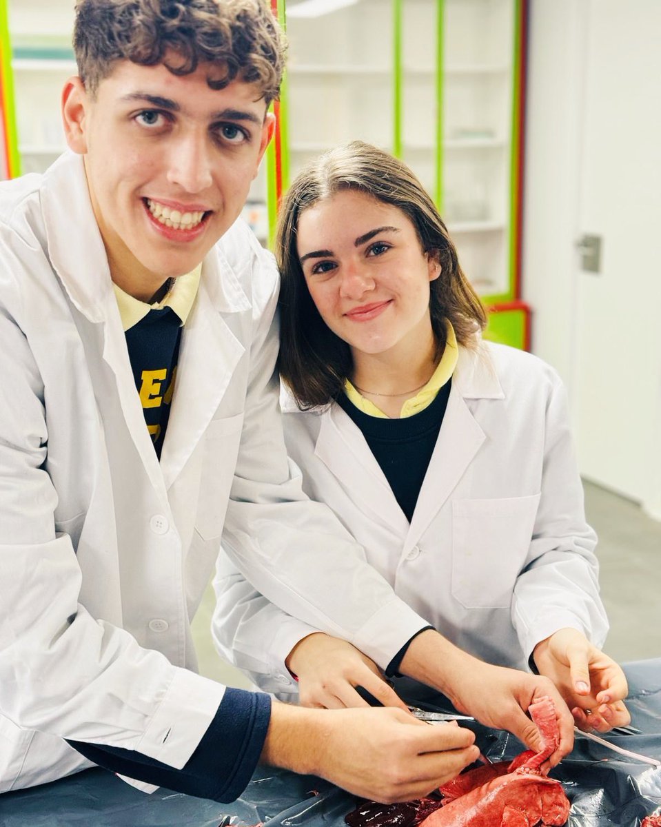 ColegioBristol's tweet image. Take a breath 🫁! 1° Bach C ha estado diseccionando pulmones en el laboratorio 🥼 🔬🥽. De este modo, también han estado aprendiendo a identificar tejidos animales. Fotos ya en fototeca 📷. #postoftheday #lab #labpractical #biology #instagood