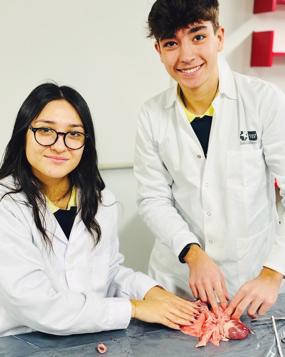 ColegioBristol's tweet image. Take a breath 🫁! 1° Bach C ha estado diseccionando pulmones en el laboratorio 🥼 🔬🥽. De este modo, también han estado aprendiendo a identificar tejidos animales. Fotos ya en fototeca 📷. #postoftheday #lab #labpractical #biology #instagood