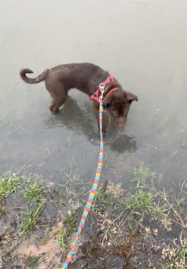 Kelly Lynn Colby tweet media