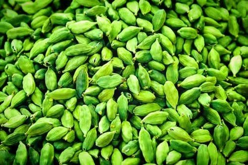 archeohistories's tweet photo. Cardamom is one of the oldest & most exotic spices and rightly deserves the name “Queen of Spices”. It belongs to the ginger family. The use of this spice dates back to at least 4000 years. Chanakya’s Arthashatra, written in 4th Century BC, has discussed explicitly cardamom as "A green pearl found in the banks of the river Periyar in the South West mountains" they used to call is "Chaurnayam." Amarakosha - a vocabulary of Sanskrit roots written by "Amarasimha," a Buddhist from the 8th Century AD, has mentioned different names of cardamom. There has been mention of cardamom used as a medicinal ingredient in many Ayurveda books since 1000 BC.

Originally, cardamom grew wildly along the Western Ghats in South India. This region even to this day is known as Cardamom Hills. It was a native produce of the forest and was considered as a natural wild plant, which was harvested by the tribal community during their commute through the jungle for food. It was sun-dried and traded villagers for cloth and salt. The villagers near to the forests bought it to merchants who took it to the port and traded it to maritime sailors who arrived at different ports on the Malabar coast.

Outside India, the uses of cardamom have been recorded since the Pyramid age of Egypt. They used it as a medicinal ingredient, a mouth freshener and even as an ingredient for the oils used for the mummification process. Some accounts state the mentioning of aromatic oils in the Bible is considered to be prepared with the base as cardamom. Cardamom reached the Romans and the Greek via Arabia. Amomum and Kardamum refer to the cardamom that came from the southern Hills of modern day India.

#archaeohistories