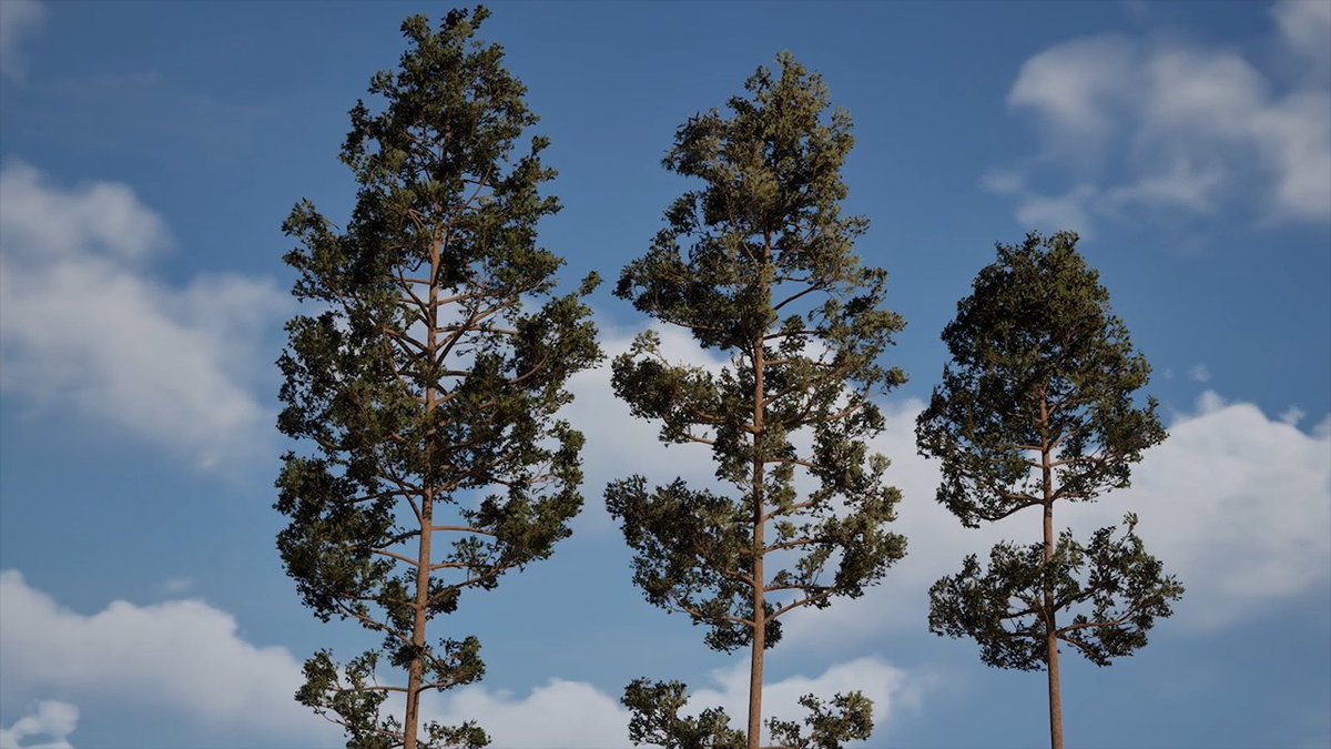 Ian Smith tweet media