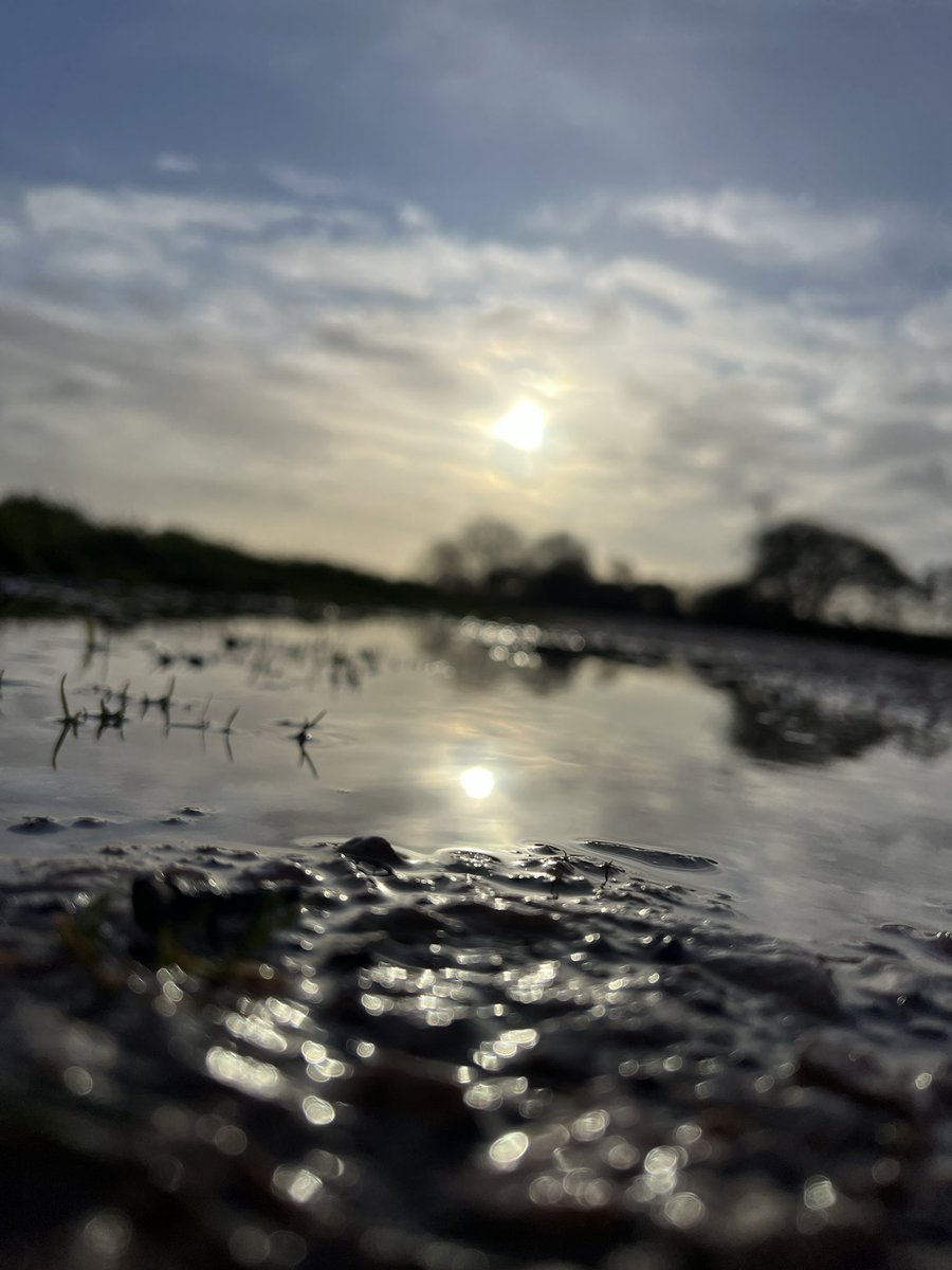 Stephanie Darkes (@stephaniedarkes) on Twitter photo Puddle reflections 🫠 Puddle reflections 🫠