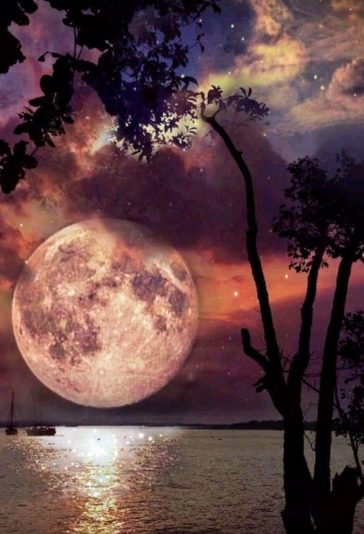 For  moon lovers