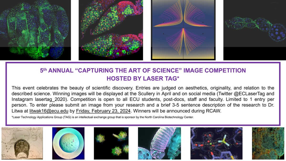 Harriot College (@ecuhcas) on Twitter photo 🗣️ Attn: ECU students and researchers❗Submit your scientific images to the 5th annual <a href="/ECLaserTag/">ECU LaserTAG</a> contest. Winning images will be displayed at the Scullery. 📩 Email your entry and short description to litwak16 at ecu.edu by 🗓️ Feb. 23. See more ⤵️ 🗣️ Attn: ECU students and researchers❗Submit your scientific images to the 5th annual <a href="/ECLaserTag/">ECU LaserTAG</a> contest. Winning images will be displayed at the Scullery. 📩 Email your entry and short description to litwak16 at ecu.edu by 🗓️ Feb. 23. See more ⤵️