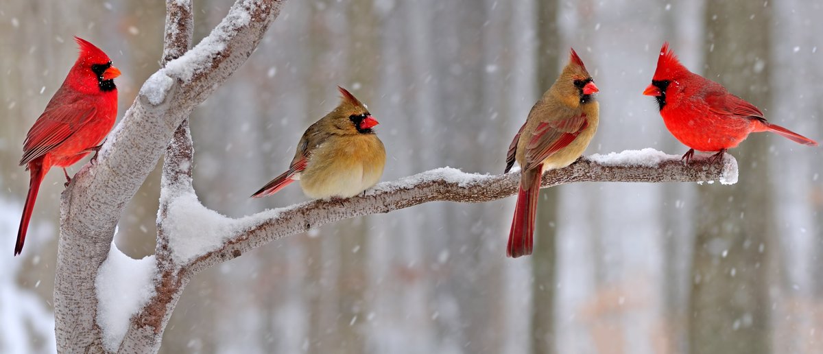 Nature inspires!🐦

#nature #naturelovers