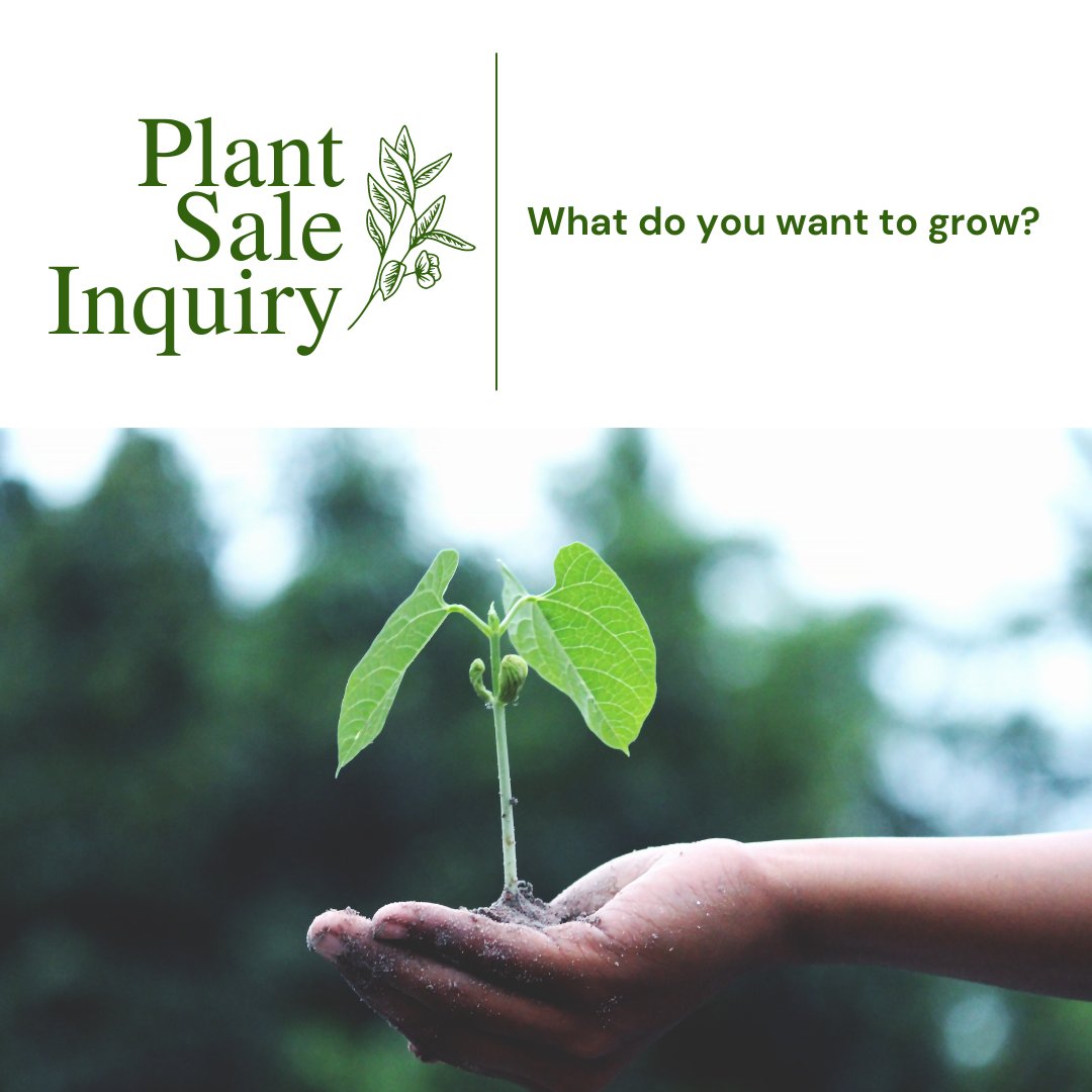 Every year we have a plant sale in the Spring and sometimes Summer- this year we are asking our community what plants are you interested in purchasing/growing this year?

 #PlantSale #SpringGardening #GardenCommunity #PlantLovers #UrbanGardening #GrowYourOwn