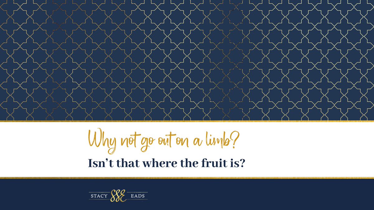 Why not go out on a limb? Isn’t that where the fruit is?

#businessstrategycoach #businessgrow #howtobesuccessful #entrepreneursmindset #growthstrategy #businessleaders #strategicplanning #businessgrowthstrategy #successmentor #ceomindset #successmotivation #growyourbusiness