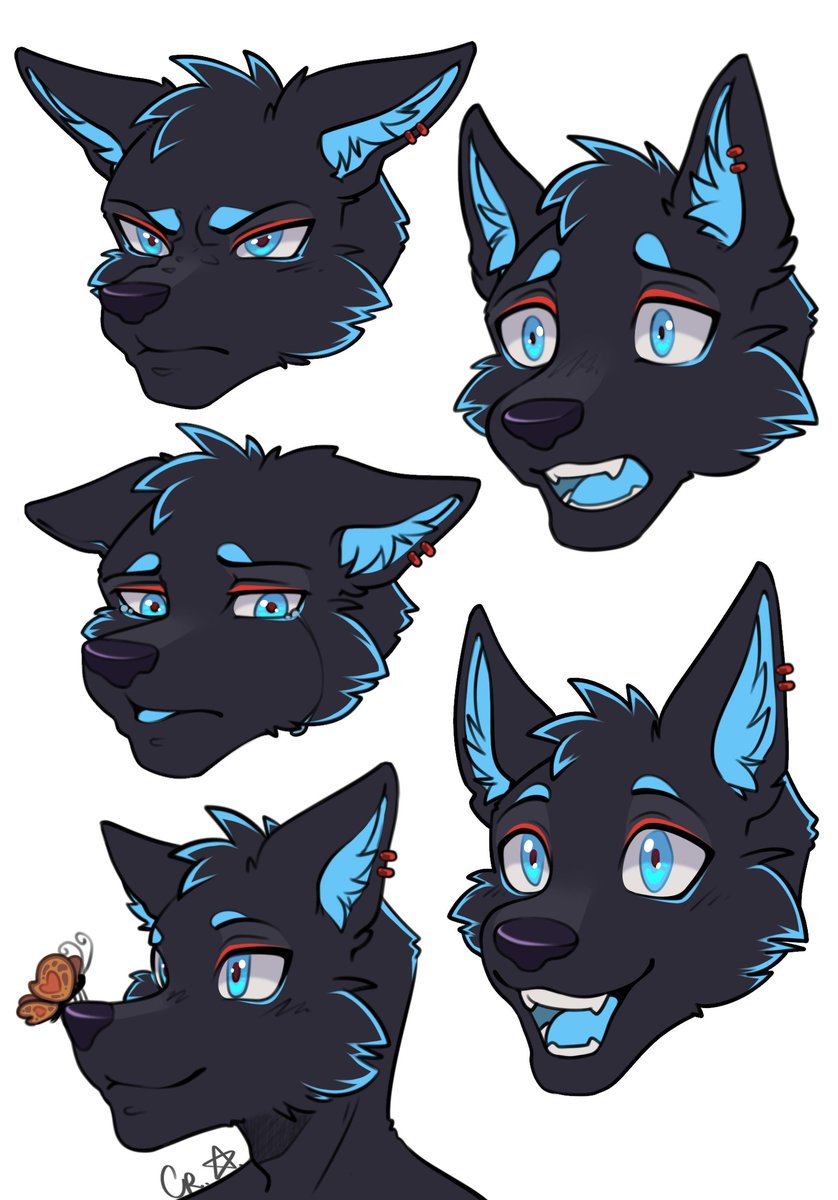 WCrazyace's tweet photo. Some emotions of Ace

#art #furry #fursona https://t.co/BZZoKW4hi9
