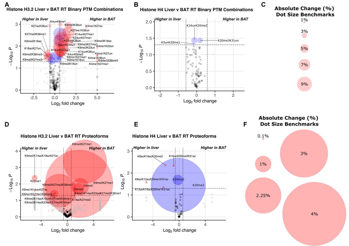 Histone proteoform analysis reveals epigenetic changes in adult mouse brown adipose tissue in response to cold stress biorxiv.org/content/10.110…