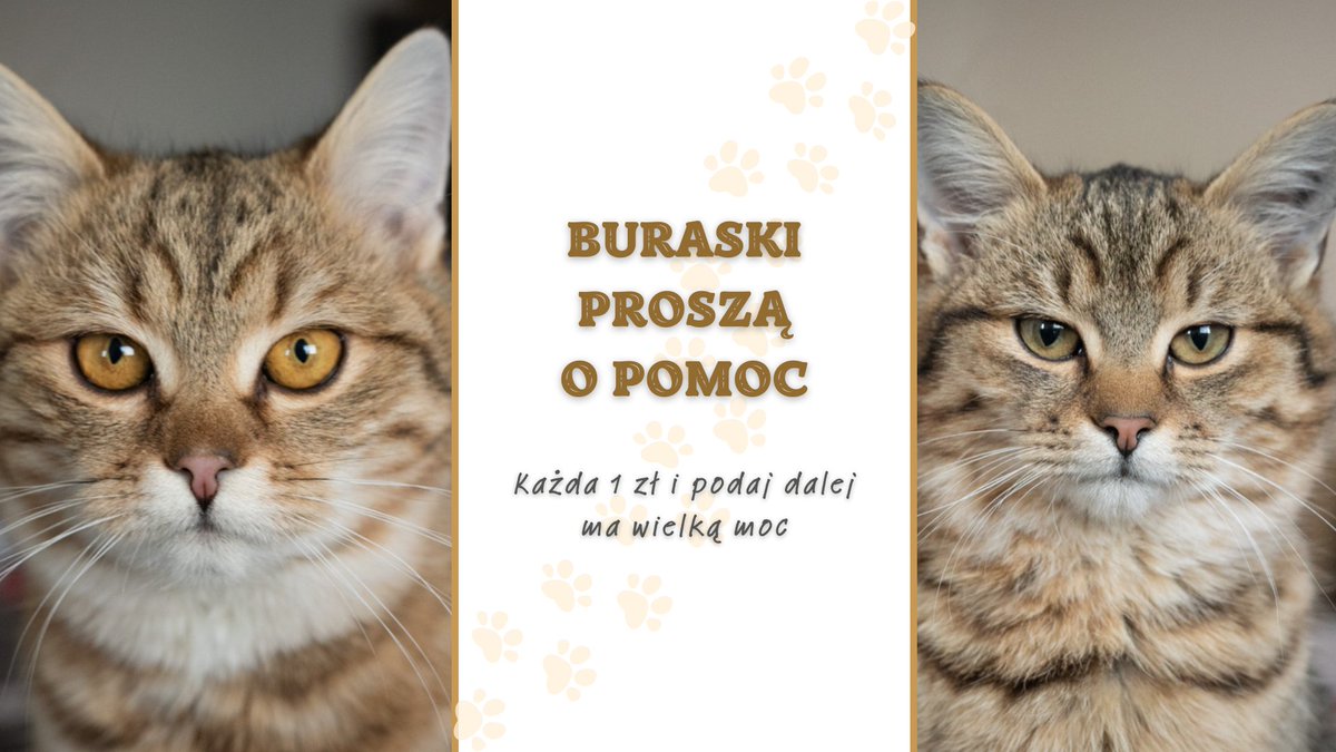 Na pomoc buraskom ‼️ Każda 1 zł i RT na wagę złota 🙏
ratujemyzwierzaki.pl/buba-i-smiba-f…
<a href="/Stenkacziu/">M. 🐾</a> <a href="/mladyxm/">bug🐞✨</a> <a href="/pawlik06/">Paweł✝ 🇵🇱 #KotwicaHistorii</a> <a href="/_nohej/">Julia🕸</a> <a href="/biebeev/">misiek lubisiek</a> <a href="/ArturooArtur/">Artur</a> <a href="/Zabololo/">Wika⁷❤️</a> @BarbaraWiniews8 <a href="/rysia3waza/">★connor★gabcia★</a> <a href="/92ElectraHeart/">Maddie Kate</a> <a href="/Pawe32445794/">Paweł</a> <a href="/momooology/">kiki///hiatus</a> <a href="/Ivvona1/">Ivvona</a> <a href="/JanoPL5/">𝒥𝒶𝓃𝑒𝓀#NaszaPolska🇵🇱🐺</a> <a href="/carollineae/">carbonara</a> <a href="/jjuleessss/">vi 🐙</a> <a href="/catsloveer/">Paulina</a>