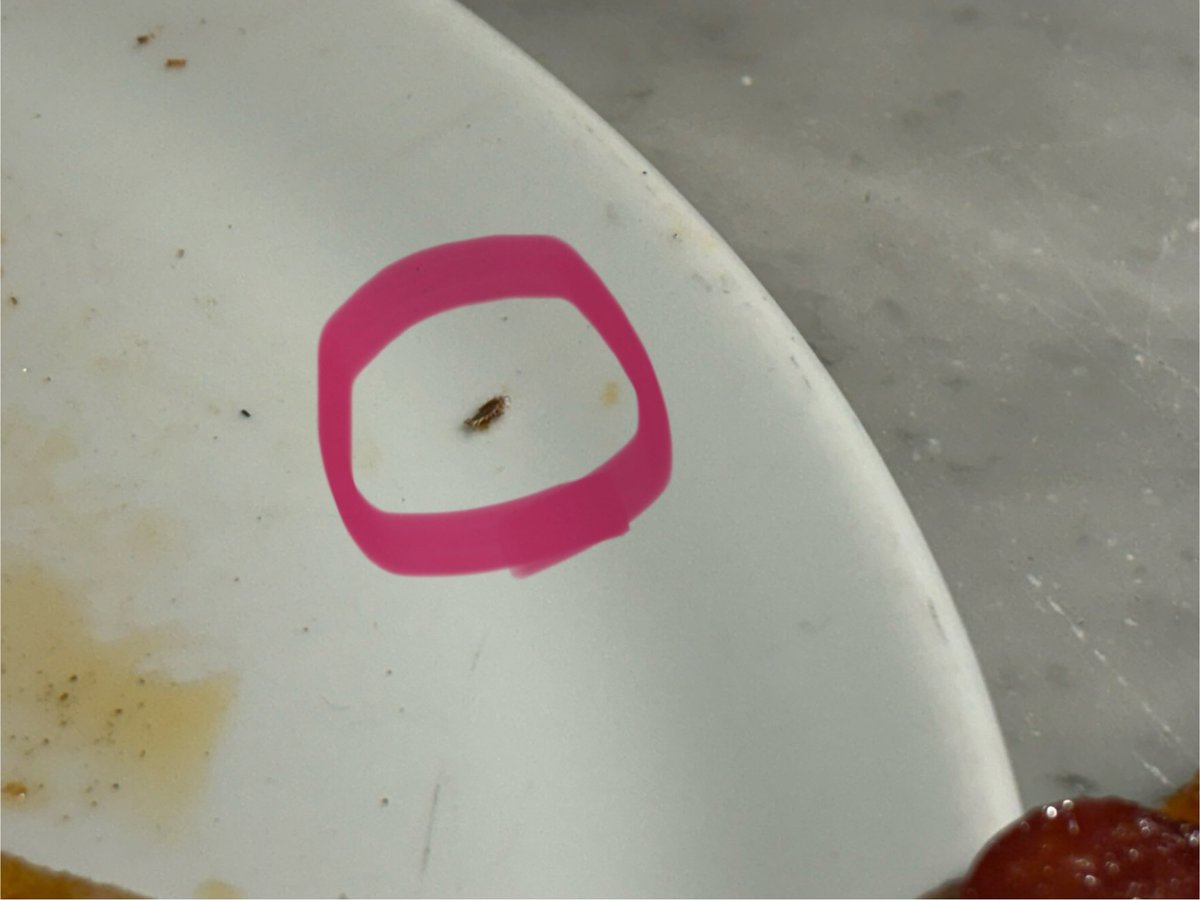 InspectorBasti's tweet photo. @PizzaExpress Bugs in pizza 🐛 #PizzaExpressVictoriaStreet
 
Absolutely disgusting. This place should be shut down immediately for a deep clean. That bugs had several tiny legs and just sat on the Pizza edge. 🤢 https://t.co/hWbuIGtN8p