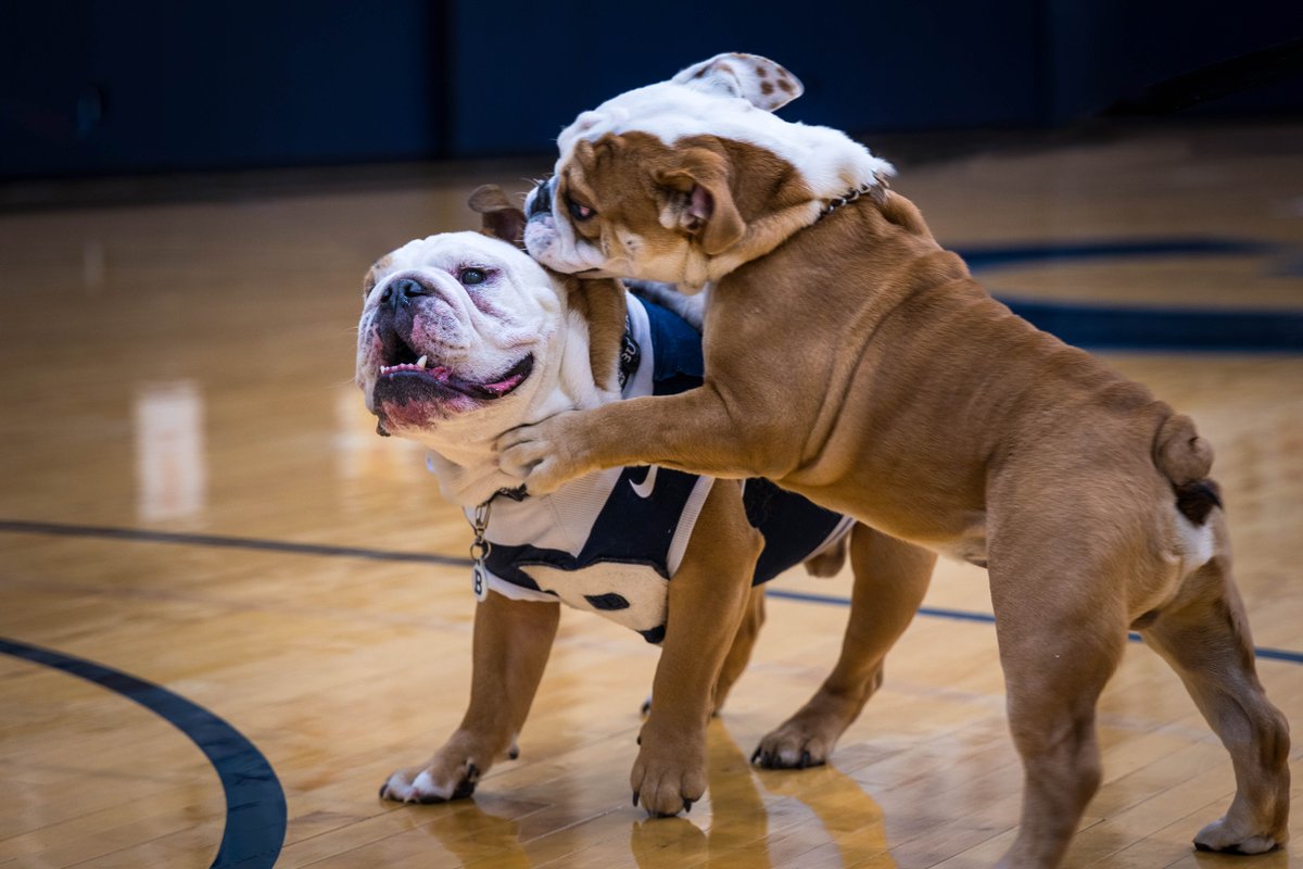 Jack had a paw-some time hanging out with @thebutlerblue earlier this week! 🐾