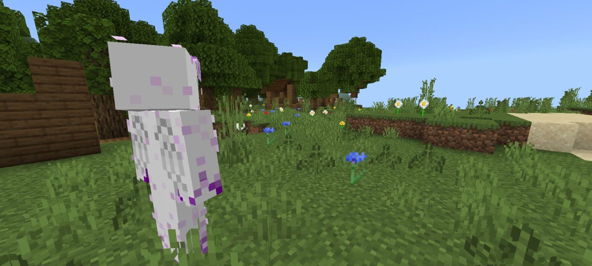 Obscuresmp's tweet photo. Fugitivo https://t.co/4x7So6ygF0