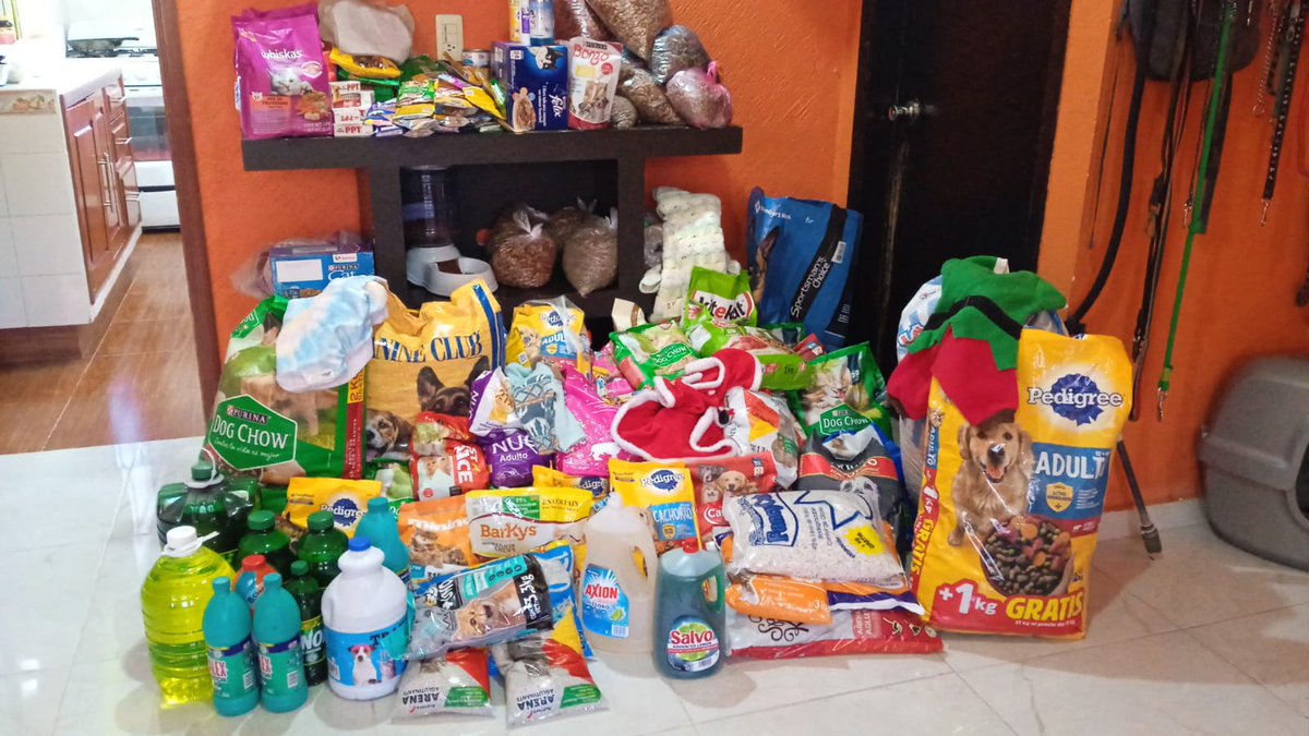 mentoria_cela's tweet photo. Otra vez más lo logramos, ! Gracias comunidad Lancaster! Los Callejeritos seguramente estarán muy agradecidos también. @prepalancaster @primlancaster @seclancaster https://t.co/fXaf7J4cnR