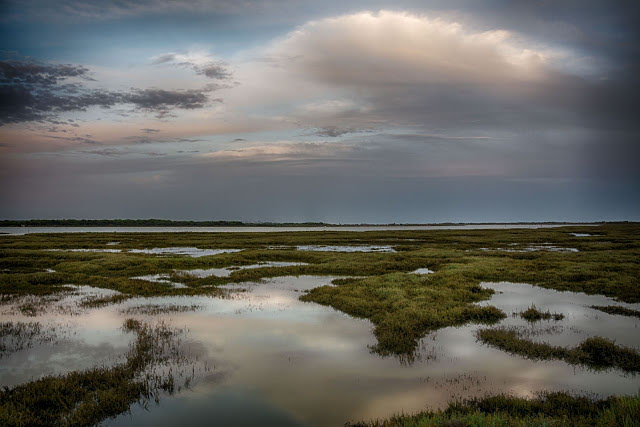 #originalphoto #photography #nikonphotography #seascapephotography #seascape #wetland