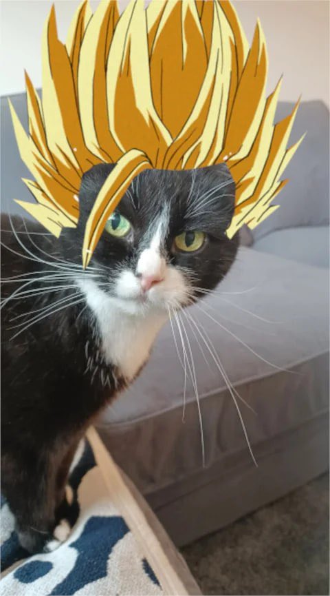 CryptoKeem07's tweet photo. @juicecrypt0 $SAIYAN https://t.co/ymcyWvbj4T